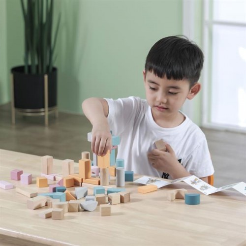 Игровой набор кубики Viga Toys PolarB Пастельные блоки 60 шт 44010