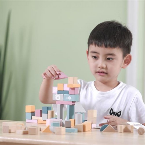 Игровой набор кубики Viga Toys PolarB Пастельные блоки 60 шт 44010