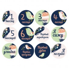 Набор наклеек для фото Memiks Перья 0-6 месяцев перья-0-6-рус