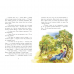 Книга Аня с острова Принца Эдуарда Видавництво Ранок 10+ лет 468673