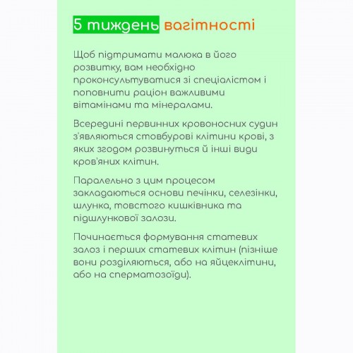 Гайд Перший триместр вагітності