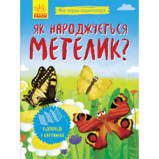 Книга Як народжується метелик? Видавництво Ранок 3+ лет 279216