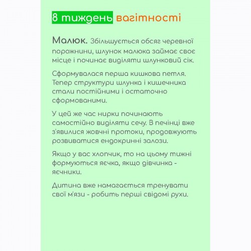 Гайд Восьмий тиждень вагітності