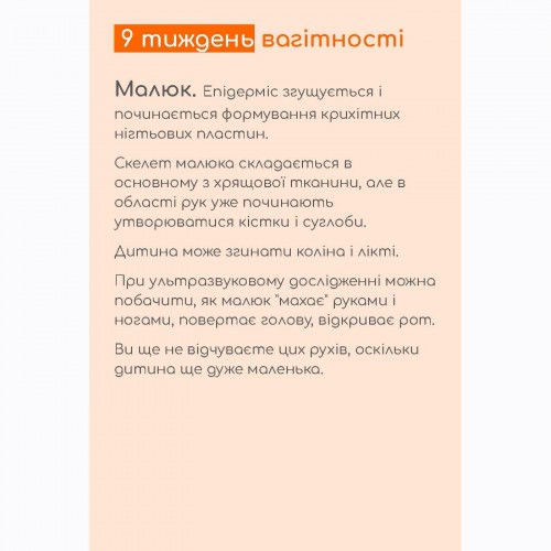 Гайд Дев'ятий тиждень вагітності