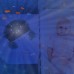 Музыкальный ночник проектор для новорожденных Zazu Cody Краб ZA-CODY-01