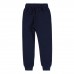 Теплые штаны для мальчика Bembi 4 - 6 лет Трикотаж на флисе Синий ШР753