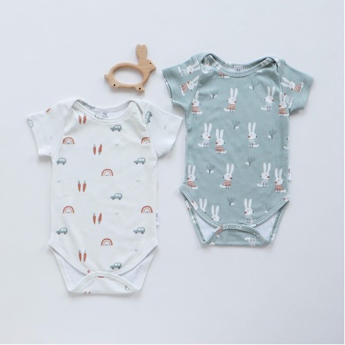 Бодик для новорожденных набор 2 шт ELA Textile&Toys Машинки/Зайчики 0 - 3 лет Интерлок в рубчик Белый/Голубой BS001SSG