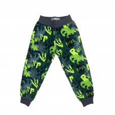 Детские штаны для мальчика с начесом Lafleur Зеленый от 5 до 7 лет 380101
